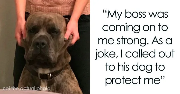 The Way This 95lbs Dog Saved This Woman From Her Boss’s Sexual Harassment Is Incredible
