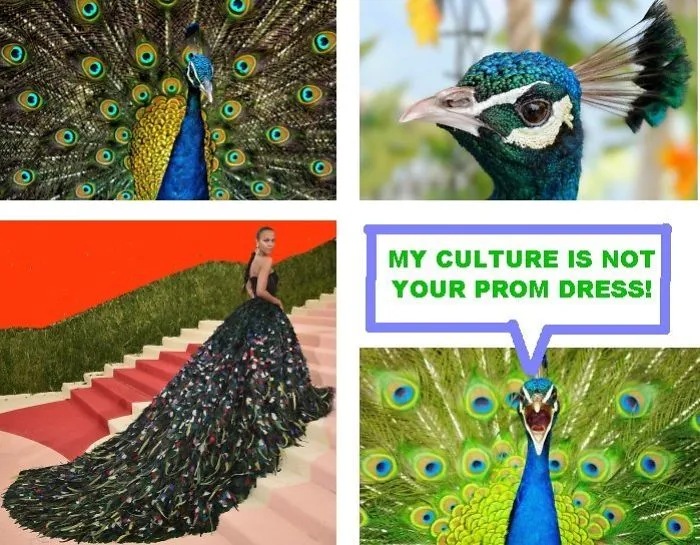 Peacock-inspired dress compared to an actual peacock; a humorous take on fashion disasters.