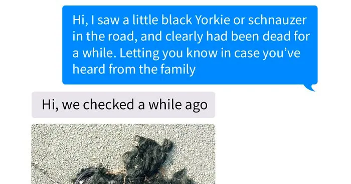 Someone Calls Police About A Dead Dog, Dies From Laughter After They Write Back