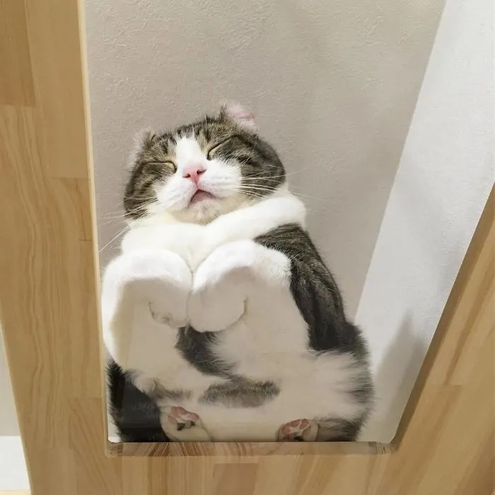 Feeling Sleepy