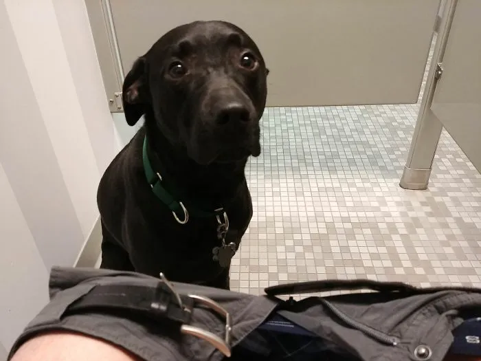 She Doesn't Like To Be Left Alone In Unfamiliar Places