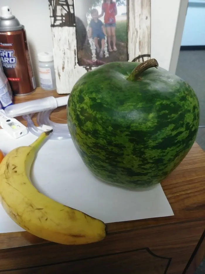 Pumpkin Looks Like A Watermelon Shaped Like An Apple