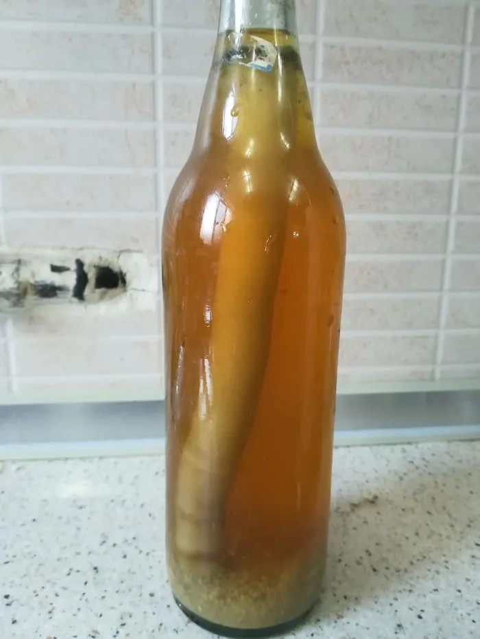 Something Is Growing Inside A Bottle Of Natural Orange Juice I Abandoned Inside A Cabinet For Over A Year