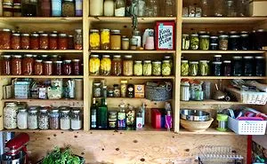 50 Zero-Waste Ideas Everybody Can Use