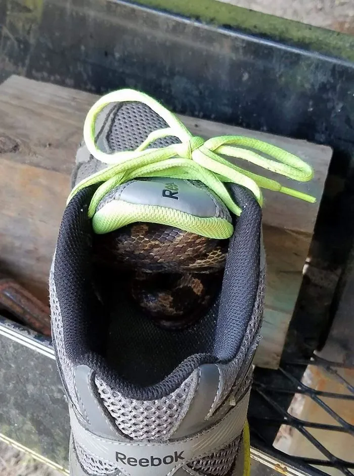 Creo que correré sin calzado