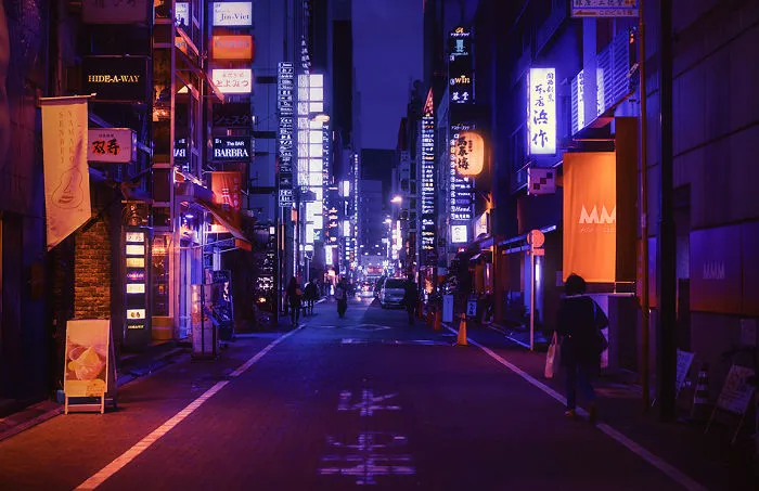 I Fulfilled My Dream And Traveled To Japan To Capture The Surreal City Of Tokyo At Night (23 Pics)