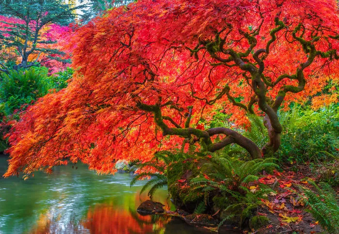 I Photographed These Beautiful Places Before They Were Destroyed By Climate Change. Tedx