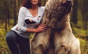 Photoshoot With A Menacing Bear