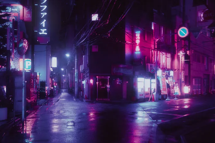 I Fulfilled My Dream And Traveled To Japan To Capture The Surreal City Of Tokyo At Night (23 Pics)