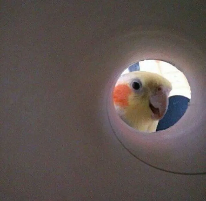 Hahaha If You Take A Selfie Through A Roll Of Toilet Paper You Look Like A Stupid Moon