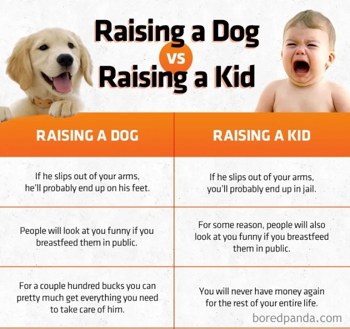 People Who Prefer Pets Over Kids Are Creating Funny Memes That Explain Their Choice