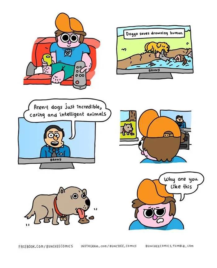 Still Number One Good Boy Though
