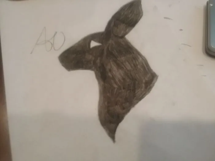 Some Of My Art