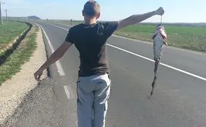 Genuine Romanians