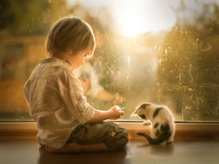 My Cats Are Afraid Of Kids Except For My Son So I Decided To Capture Their Bond (20 Pics)