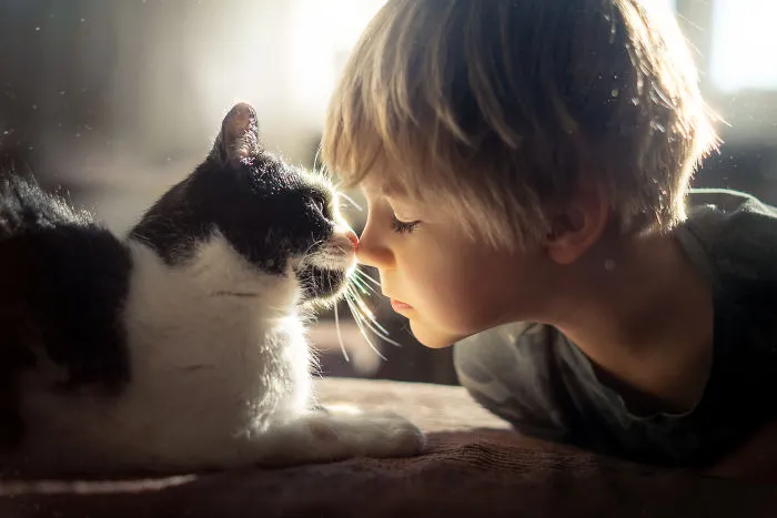 My Cats Are Afraid Of Kids Except For My Son So I Decided To Capture Their Bond (20 Pics)