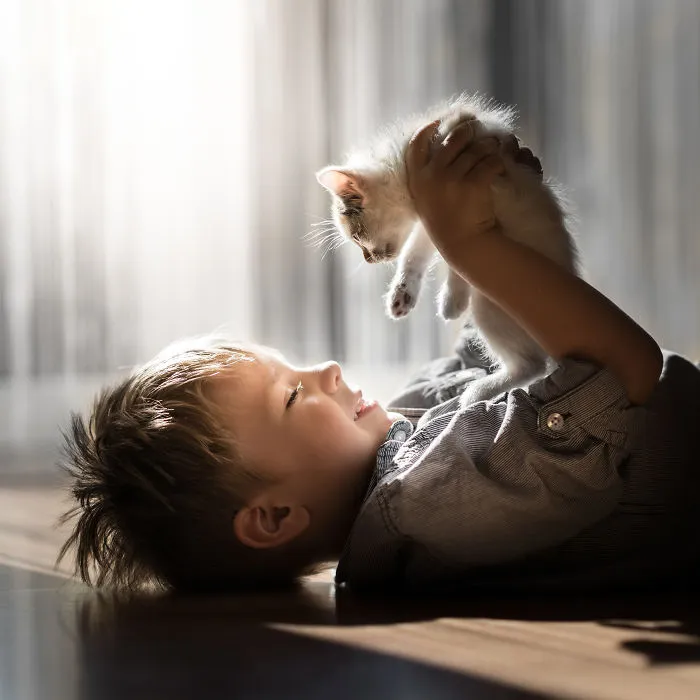 My Cats Are Afraid Of Kids Except For My Son So I Decided To Capture Their Bond (20 Pics)