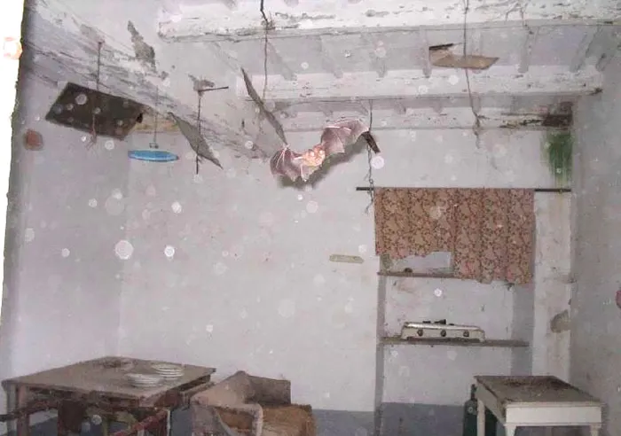 30 Fotos terribles tomadas por agentes inmobiliarios