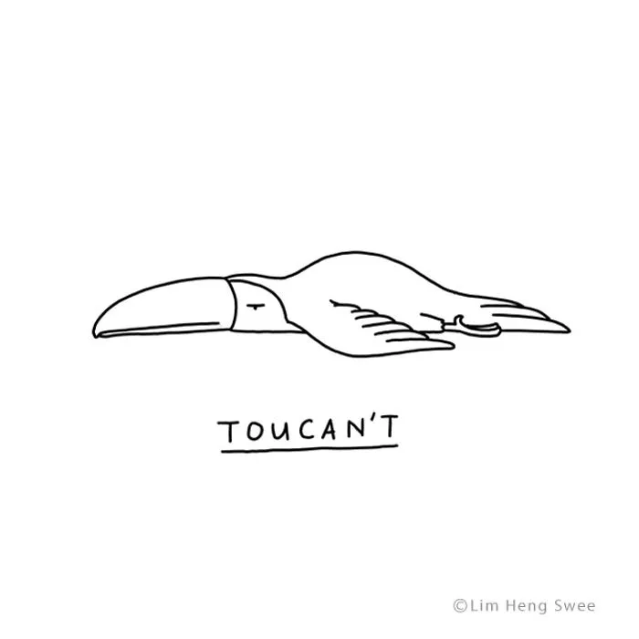Toucan