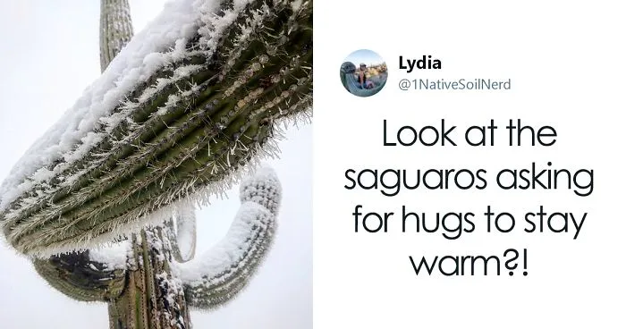 Snow Falls In Arizona Desert And The Pictures Are Chilling