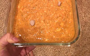 Vegan Posts Pics Of Her Lab 'Excited' To Eat Her Vegan Dinner, Gets Destroyed By Veterinarian
