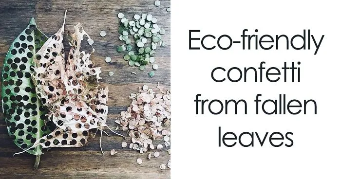 50 Zero-Waste Ideas Everybody Can Use