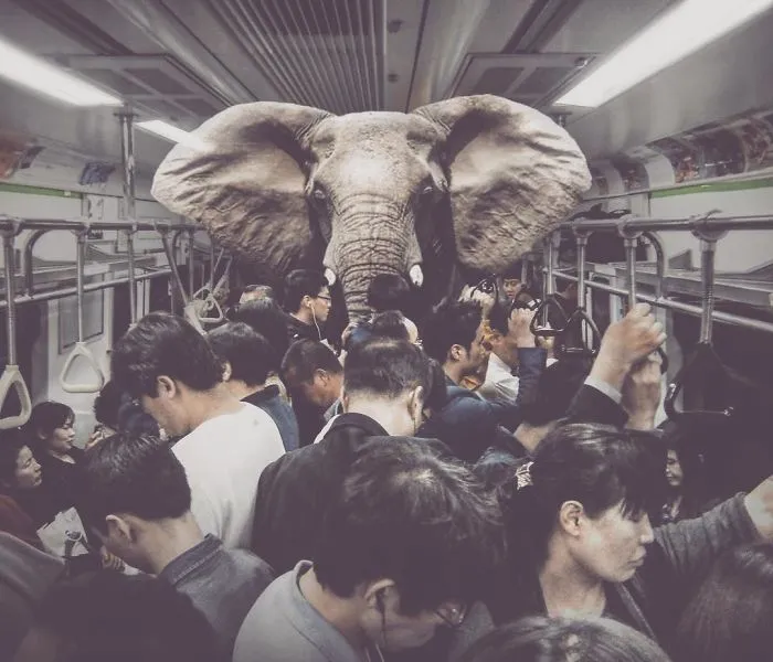 37 Surreal Photo Manipulations By Zulkarnain Ismail That Challenge Logic