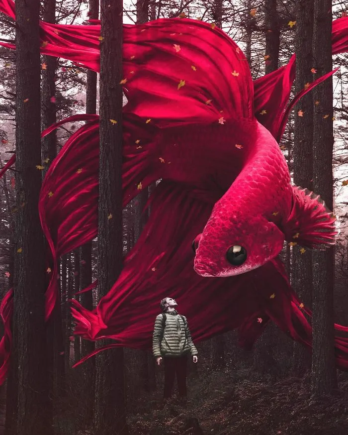 37 Surreal Photo Manipulations By Zulkarnain Ismail That Challenge Logic