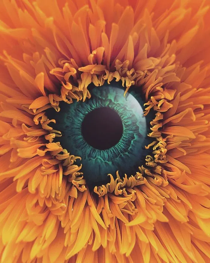 37 Surreal Photo Manipulations By Zulkarnain Ismail That Challenge Logic