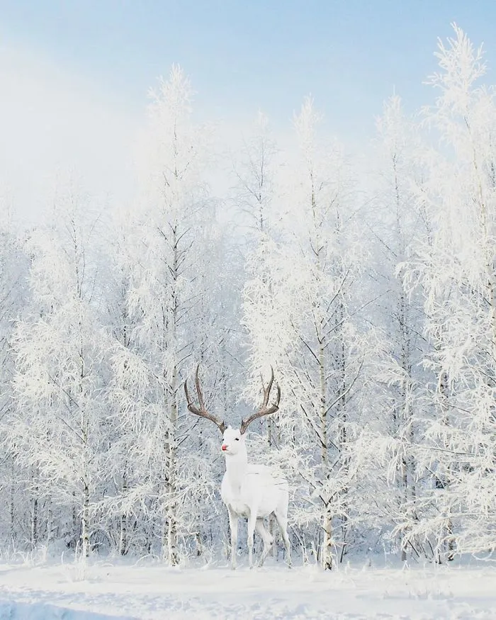 37 Surreal Photo Manipulations By Zulkarnain Ismail That Challenge Logic