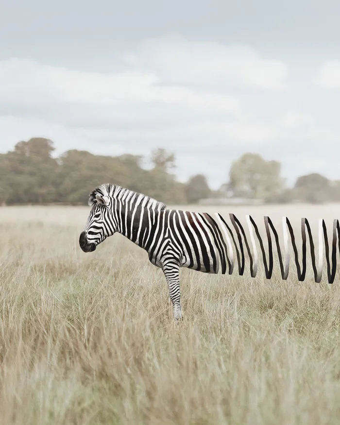 37 Surreal Photo Manipulations By Zulkarnain Ismail That Challenge Logic