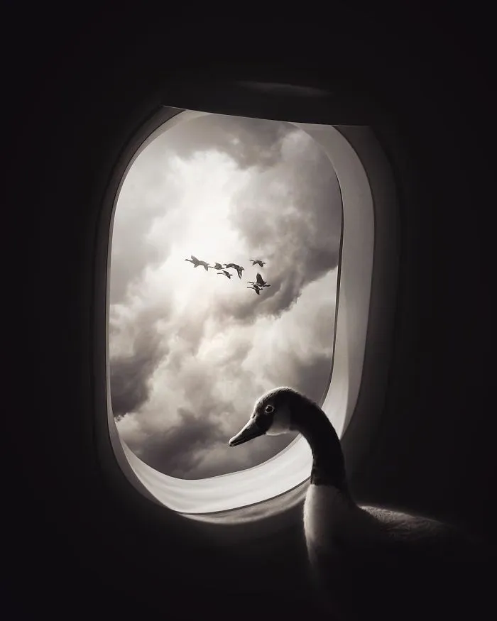 37 Surreal Photo Manipulations By Zulkarnain Ismail That Challenge Logic