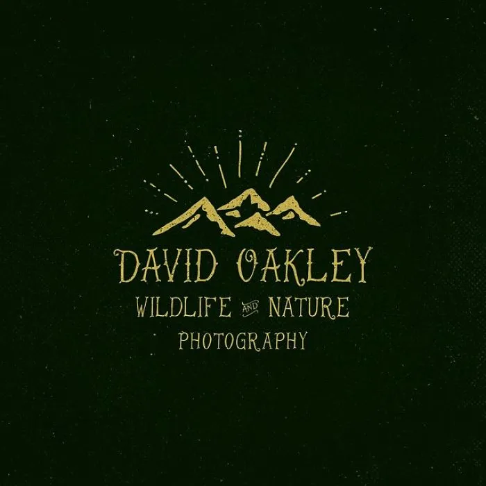 Artist Uses Lettering Technique To Recreate Modern Logos With Stunning 3D Effects
