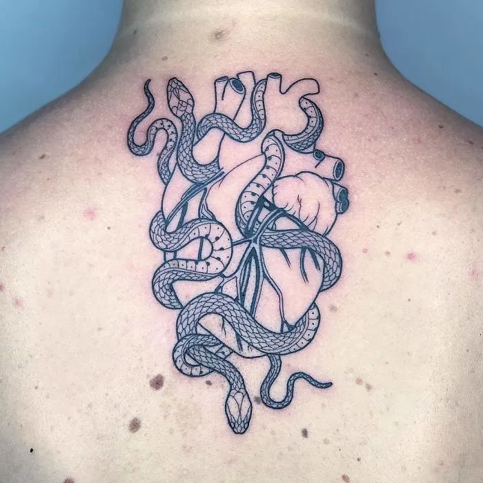 Snake and heart tattoo design on back, showcasing creative ink ideas for tattoo enthusiasts.