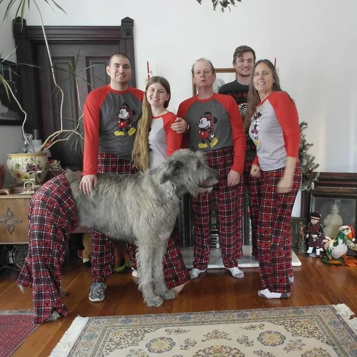 Pijama para todos