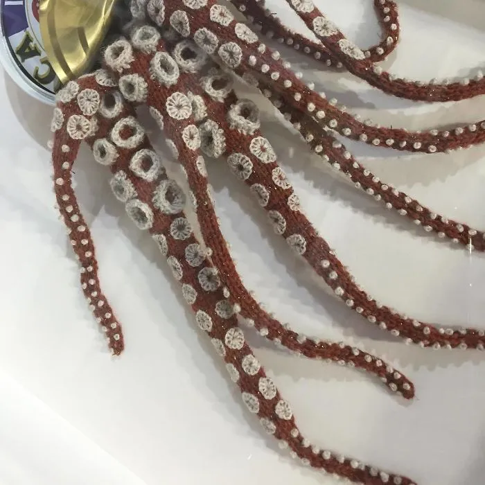 Saturday Squid #katejenkinsstudio #britishartist #saturdaysquid #newworkforsale #linkinbio