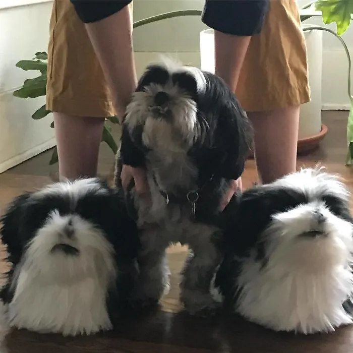 This Company Makes Slippers That Look Just Like People's Pets And They Are So Realistic That Dogs Get Jealous