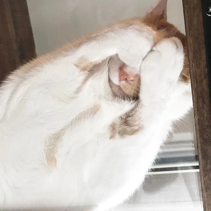 Se duerme así