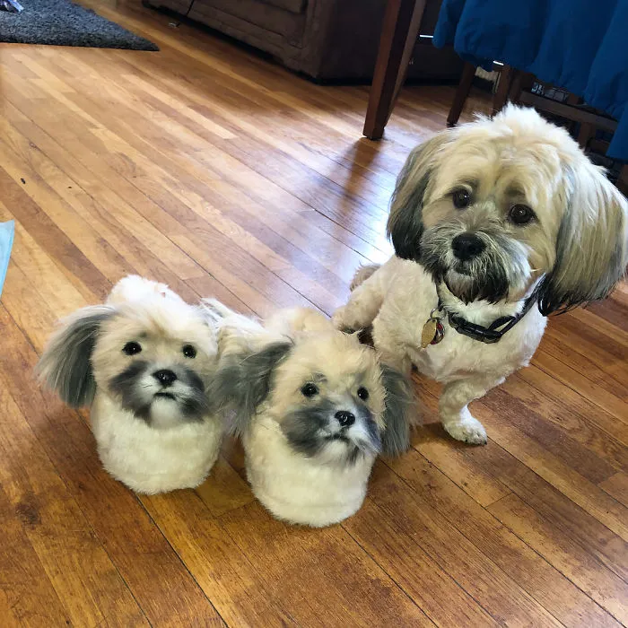 This Company Makes Slippers That Look Just Like People's Pets And They Are So Realistic That Dogs Get Jealous