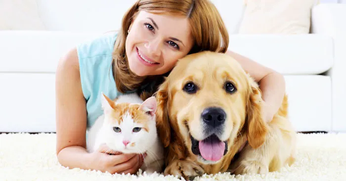 I Figured Out There 5 Simple Tricks To Keep Your Pets Engaged And Happy