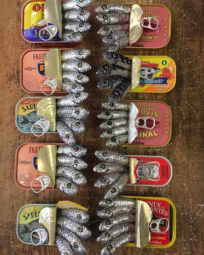 Sardines From Around The World #katejenkinsstudio #britishartist#sardineobsessed