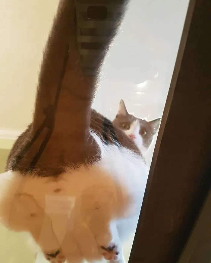 ¿Me estás haciendo una foto del culo?