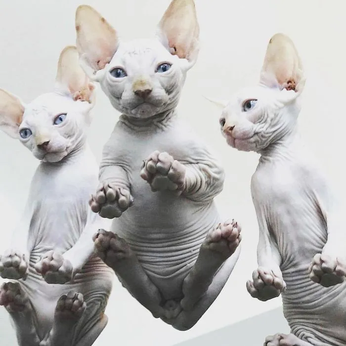 Is There Even Such A Thing As Too Many Wrinkles?