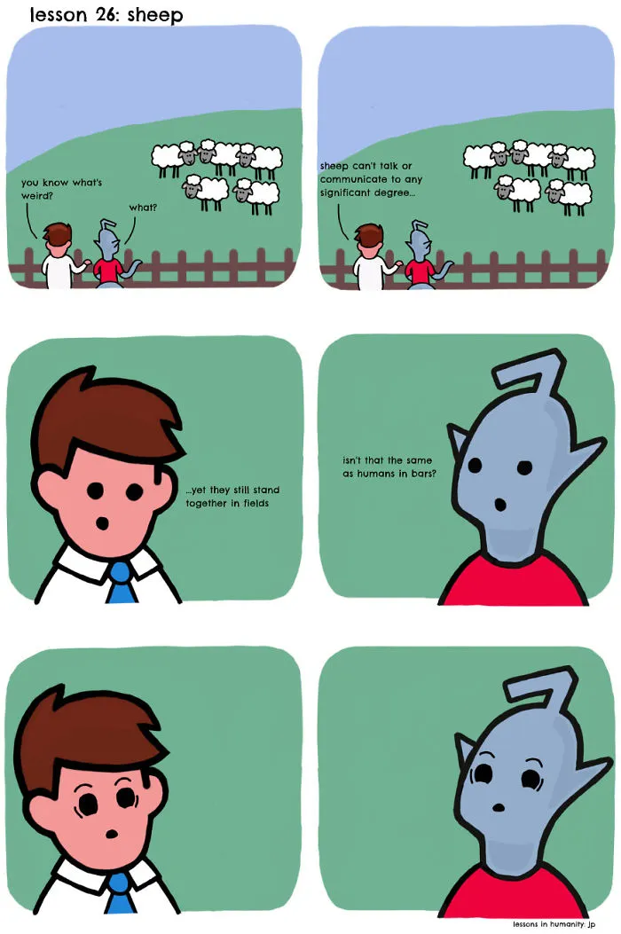 Sheep