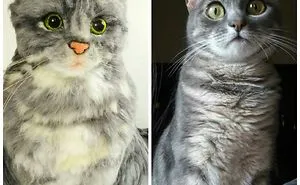 Believe Your Dreams!
a Life Full Of Love, Cats And Wool