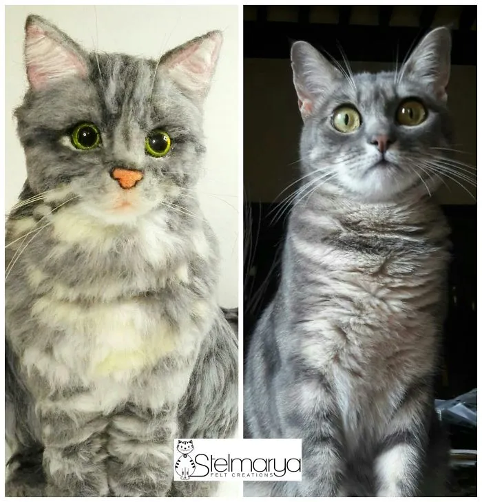 Believe Your Dreams!
a Life Full Of Love, Cats And Wool