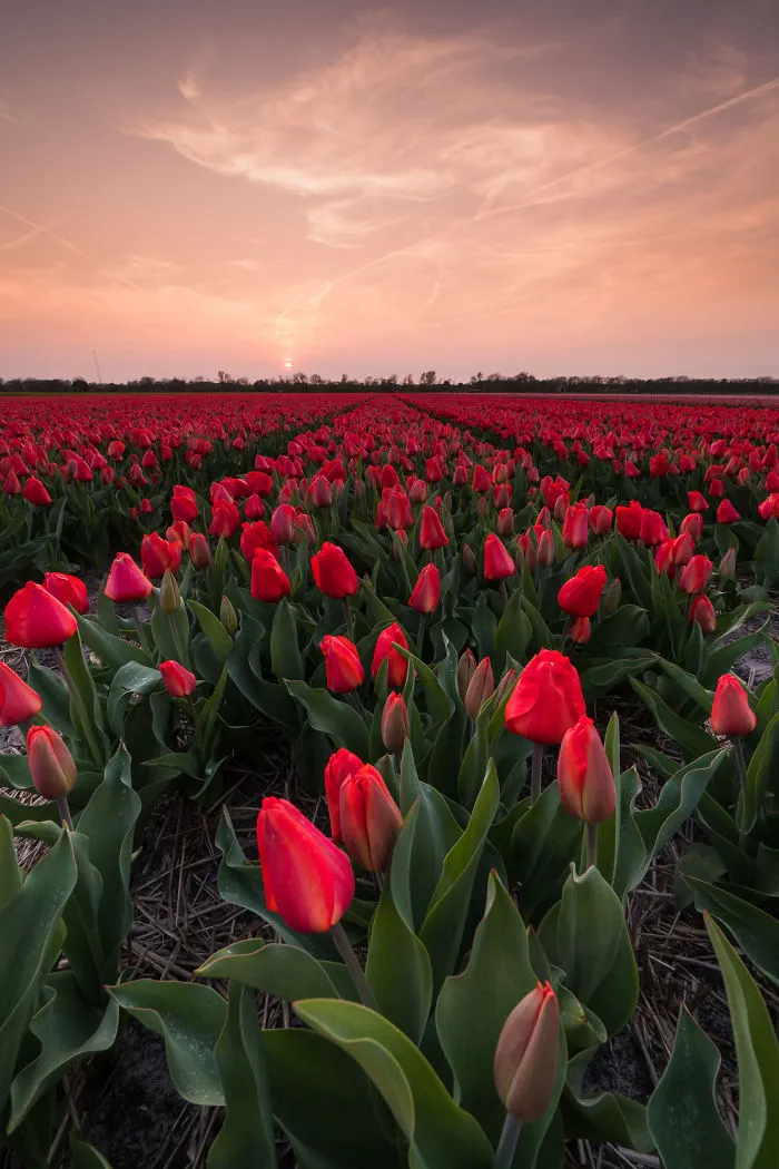 Schagen, The Netherlands