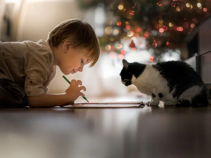 My Cats Are Afraid Of Kids Except For My Son So I Decided To Capture Their Bond (20 Pics)