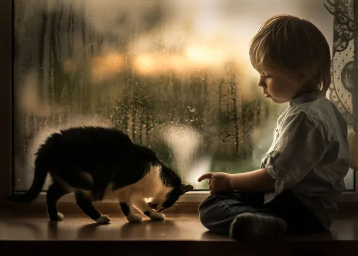 My Cats Are Afraid Of Kids Except For My Son So I Decided To Capture Their Bond (20 Pics)