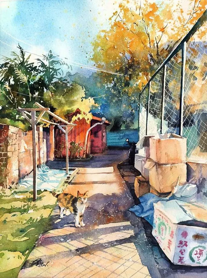 Cat Playground